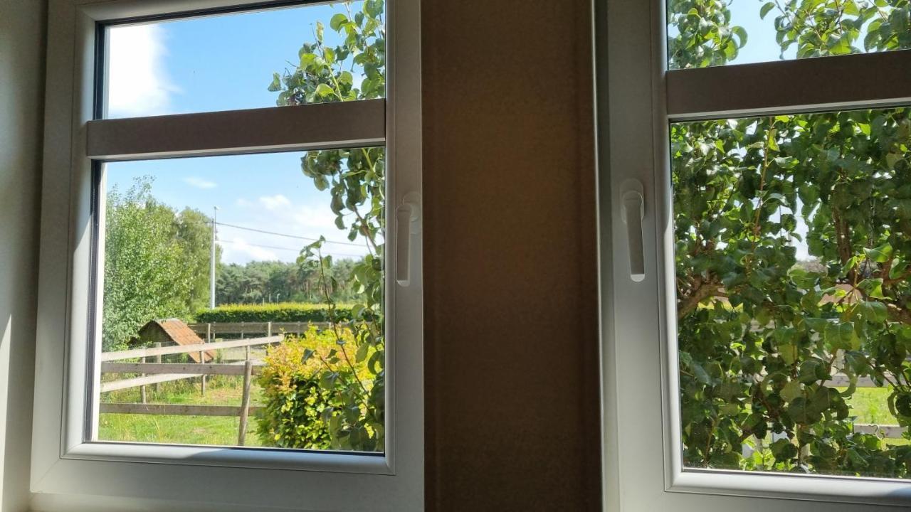 Boshovense Velden Villa Grobbendonk Eksteriør billede